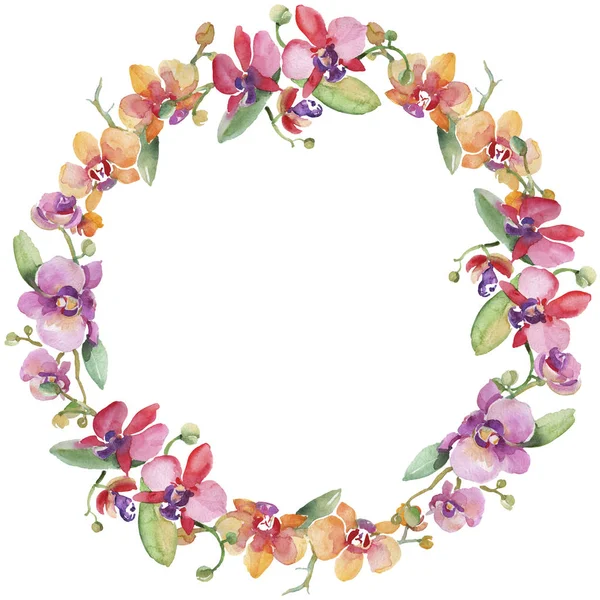 Mazzi di fiori del Orchid fiori botanici floreali. Acquerello sfondo illustrazione set. Quadrato ornamento bordo cornice . — Foto Stock