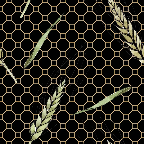 Oreja verde de trigo y hoja de hierba. Conjunto de ilustración de fondo acuarela. Patrón de fondo sin costuras . — Foto de Stock