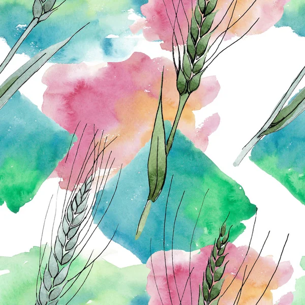 Green ear of wheat and blade of grass. Watercolor background illustration set. Seamless background pattern.