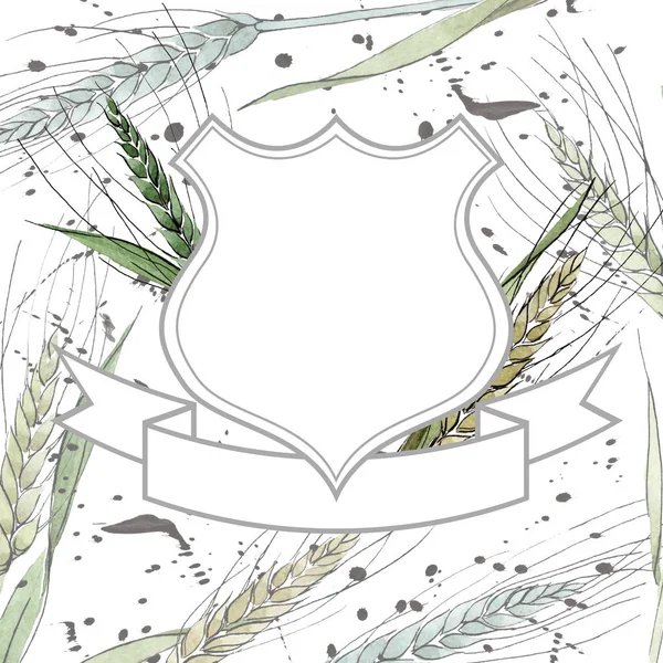 Зелене вухо пшениці і леза трави. Набір ілюстрацій для акварельного фону. Каркасна площа прикордонного орнаменту . — стокове фото