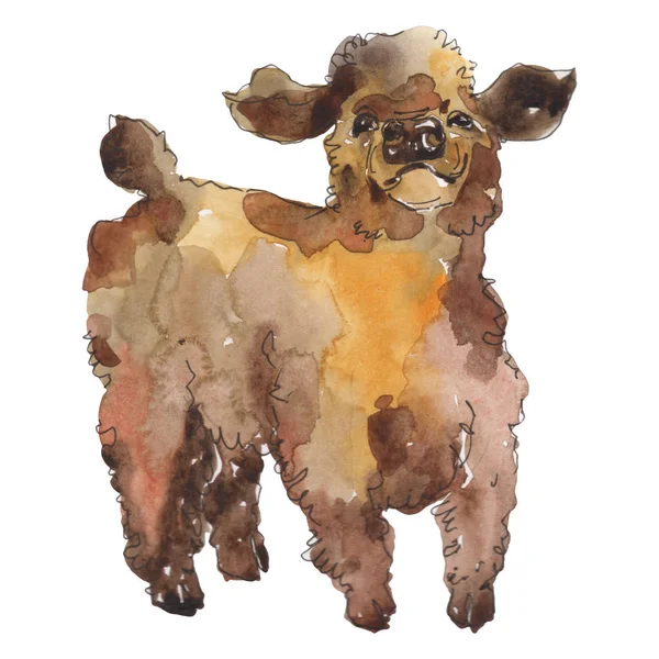 Vaca animal de fazenda em um estilo aquarela isolado. Conjunto de fundo aquarela. Elemento de ilustração isolado da vitela . — Fotografia de Stock