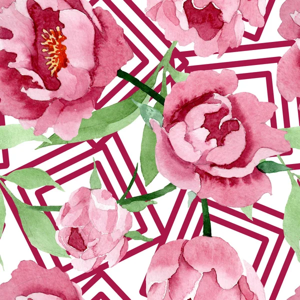 Fleurs botaniques florales pivoine rouge foncé. Ensemble d'illustration de fond aquarelle. Modèle de fond sans couture . — Photo