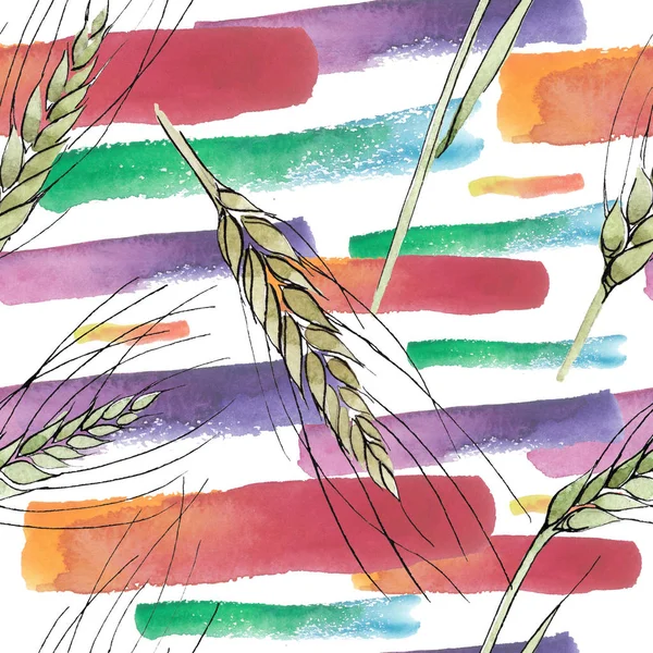 Green ear of wheat and blade of grass. Watercolor background illustration set. Seamless background pattern.