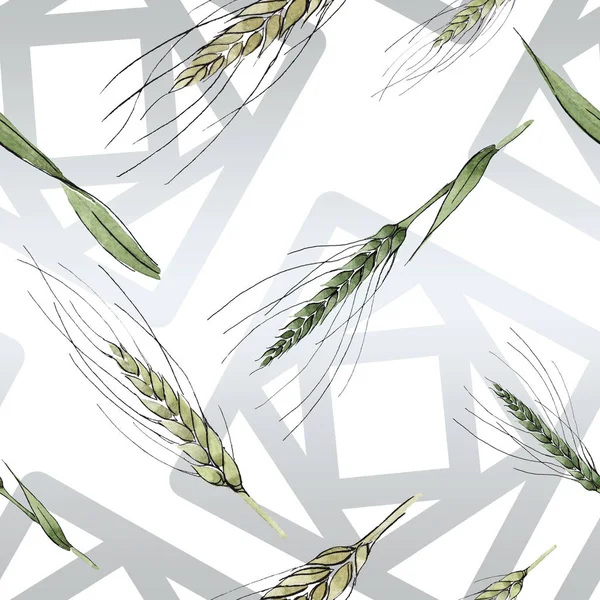 Zielone ucho pszenicy i ostrza trawy. Akwarela zestaw ilustracji tła. Płynny wzór tła. — Zdjęcie stockowe