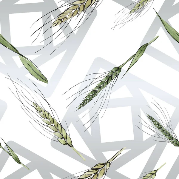 Orecchio verde di grano e filo d'erba. Acquerello sfondo illustrazione set. Modello di sfondo senza soluzione di continuità . — Foto Stock