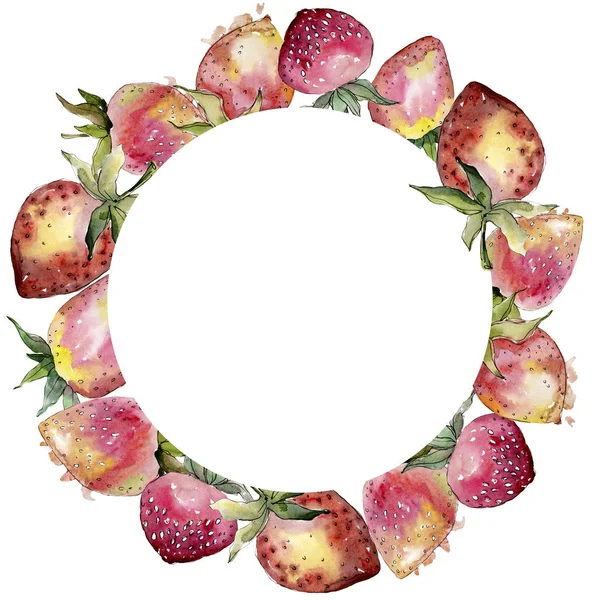 Fraise alimentation saine. Ensemble d'illustration de fond aquarelle. Cadre bordure ornement carré . — Photo