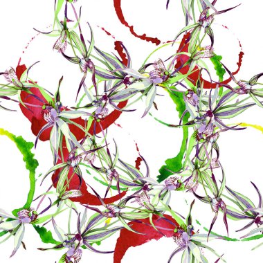 Vahşi orkide çiçekli botanik çiçekleri. Suluboya arkaplan çizimi. Kusursuz arkaplan deseni.