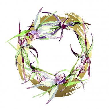 Vahşi orkide çiçekli botanik çiçekleri. Suluboya arkaplan çizimi. Çerçeve kenar süsü kare.