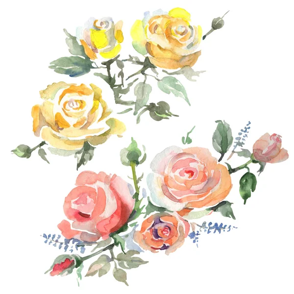 Ramo de rosas flores botánicas florales. Conjunto de ilustración de fondo acuarela. Ramos aislados elemento de ilustración . —  Fotos de Stock