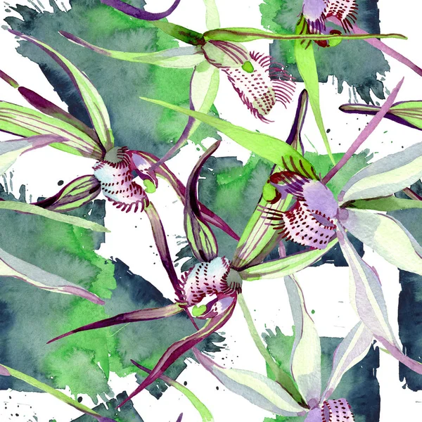 Dzikie orchidee kwiatowe kwiaty botaniczne. Zestaw ilustracji tła akwareli. Płynny wzór tła. — Zdjęcie stockowe