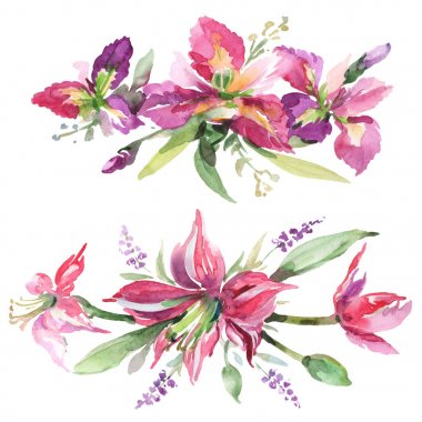 Buket irises çiçek botanik çiçekleri ile. Suluboya arka plan seti. İzole buketleri illüstrasyon elemanı.