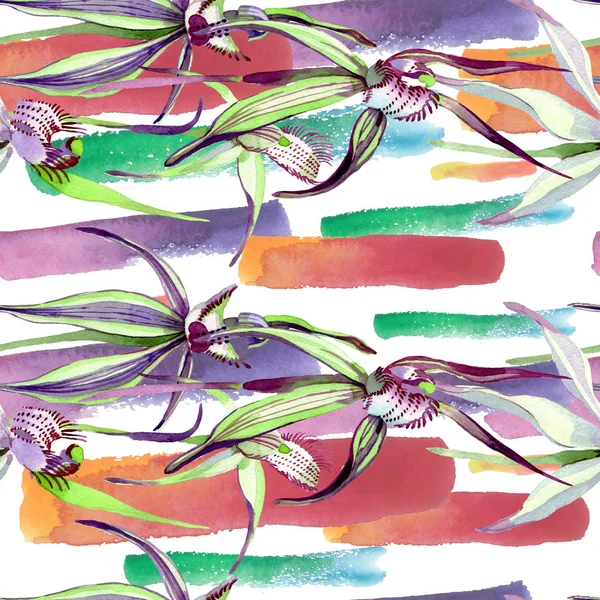 Fiori botanici floreali orchidea selvatica. Acquerello sfondo illustrazione set. Modello di sfondo senza soluzione di continuità . — Foto Stock