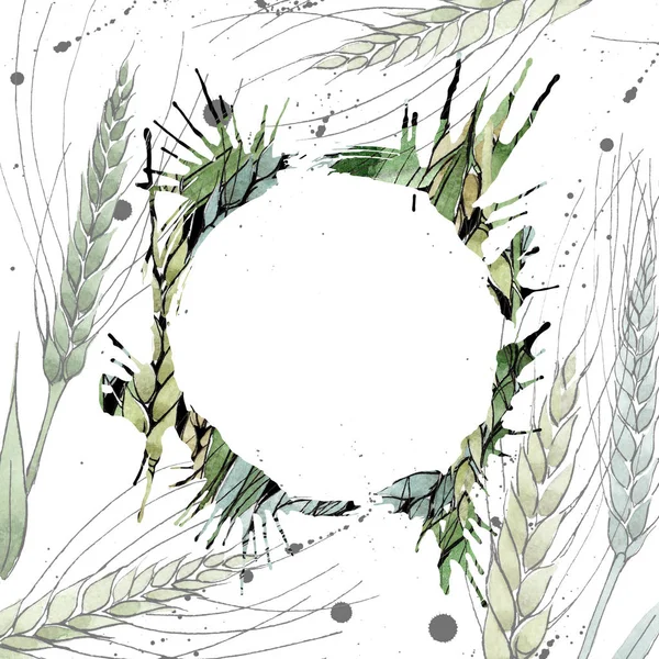 Green ear of wheat and blade of grass. Watercolor background illustration set. Frame border ornament square.