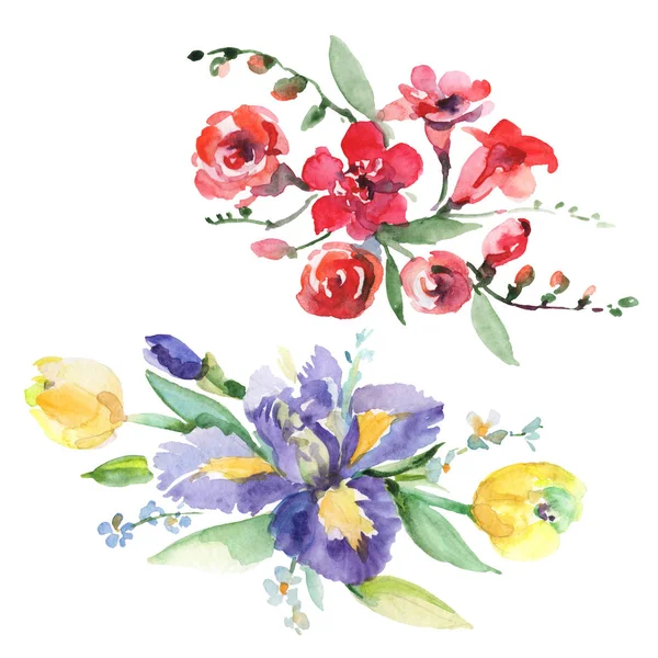 Boeket met irissen bloemen botanische bloemen. Aquarel achtergrond set. Geïsoleerde boeketten illustratie element. — Stockfoto