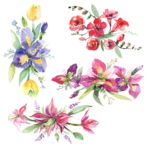 Букет з ірисами квіткові ботанічні квіти. Набір акварельних фонів. Ізольовані букети елемент ілюстрації . — стокове фото