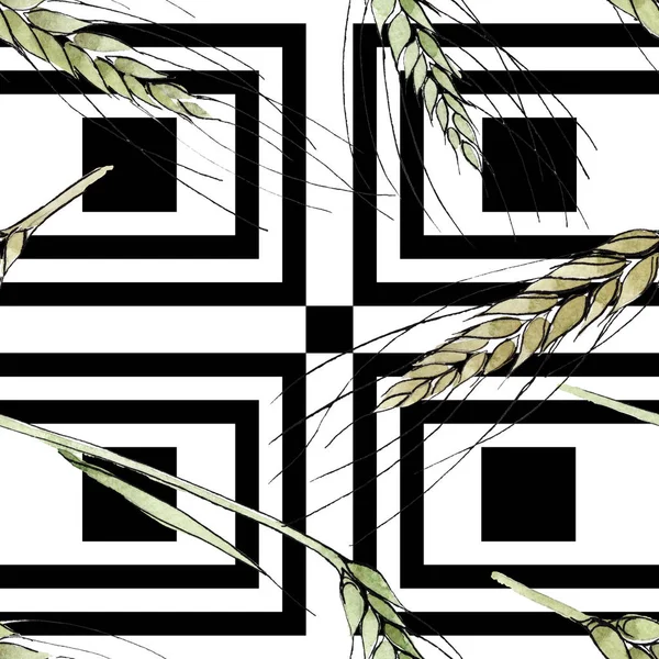 Orecchio verde di grano e filo d'erba. Acquerello sfondo illustrazione set. Modello di sfondo senza soluzione di continuità . — Foto Stock