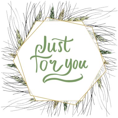 Yeşil buğday kulağı ve çimen bıçağı. Suluboya arka plan illüstrasyon seti. Çerçeve kenarlık süs karesi.