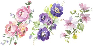 Buket çiçek botanik çiçekler. Suluboya arka plan illüstrasyon seti. İzole buketleri illüstrasyon elemanı.