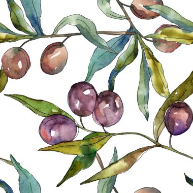 Siyah ve yeşil meyveli zeytin dalı. Suluboya arka plan illüstrasyon seti. Kesintisiz arka plan deseni.