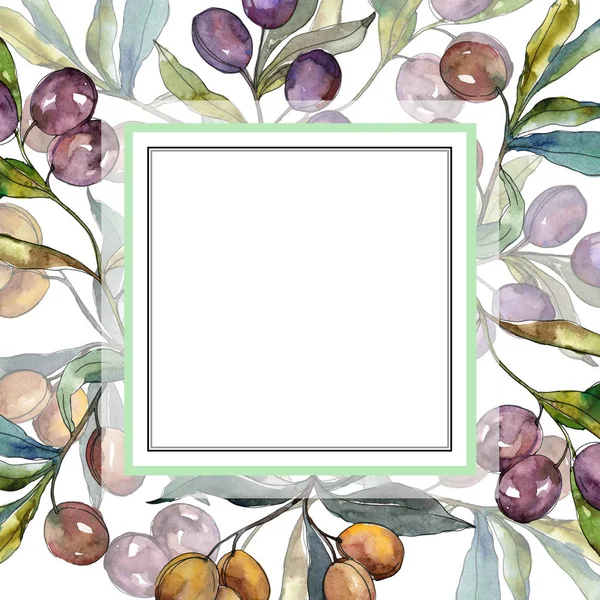 Olijftak met zwart en groen fruit. Aquarel achtergrond illustratie instellen. Frame rand ornament vierkant. — Stockfoto