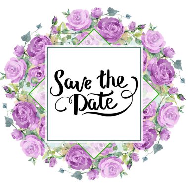 Mor gül buket çiçek botanik çiçekler. Suluboya arka plan illüstrasyon küme. Çerçeve kenarlığı süsleme Meydanı.