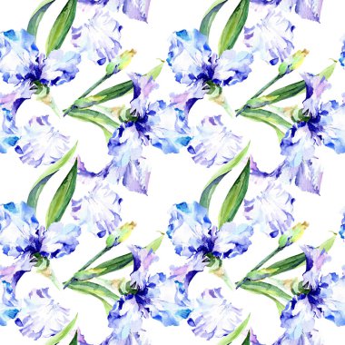 Menekşe iris çiçek botanik çiçekleri. Suluboya arka plan illüstrasyon seti. Kesintisiz arka plan deseni.