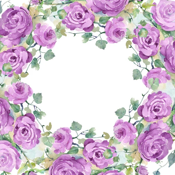 Bouquet de roses violettes fleurs botaniques florales. Ensemble d'illustration de fond aquarelle. Cadre bordure ornement carré . — Photo