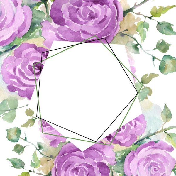 Roxo rosa buquê flores botânicas florais. Conjunto de ilustração de fundo aquarela. Quadro borda ornamento quadrado . — Fotografia de Stock