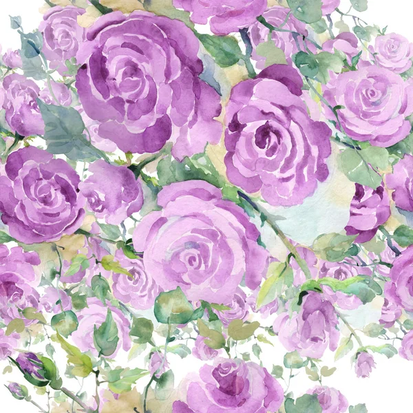 Bouquet de roses violettes fleurs botaniques florales. Ensemble d'illustration de fond aquarelle. Modèle de fond sans couture . — Photo