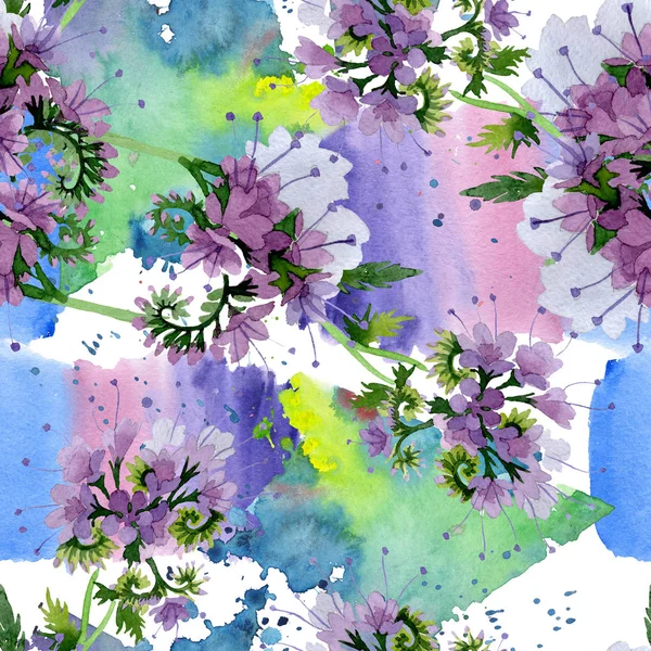Phasélie violette fleurs botaniques forales. Ensemble d'illustration de fond aquarelle. Modèle de fond sans couture . — Photo