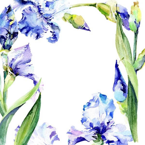 Fiori botanici floreali di iris viola. Acquerello sfondo illustrazione set. Quadrato ornamento bordo cornice . — Foto Stock