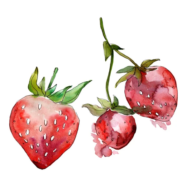 Fraise alimentation saine. Ensemble d'illustration de fond aquarelle. Élément d'illustration de baies isolé . — Photo