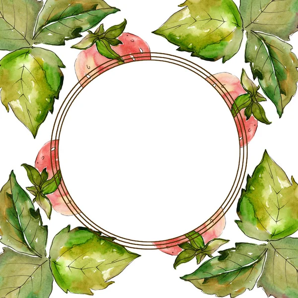 Υγιεινά φαγητά φράουλας. Σύνολο εικονογράφησης φόντου. Κορνίζα περίγραμμα στολίδι τετράγωνο. — Φωτογραφία Αρχείου