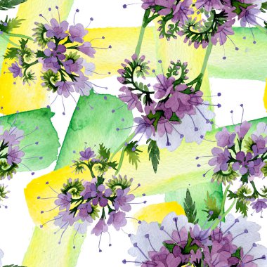 Menekşe phaselia foral botanik çiçekler. Suluboya arka plan illüstrasyon seti. Kesintisiz arka plan deseni.