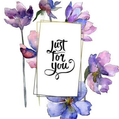 Mor kozmos çiçek çiçek botanik çiçekler. Suluboya arka plan illüstrasyon seti. Çerçeve kenarlık süs karesi.