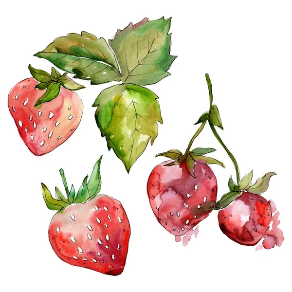 Fraise alimentation saine. Ensemble d'illustration de fond aquarelle. Élément d'illustration de baies isolé . — Photo