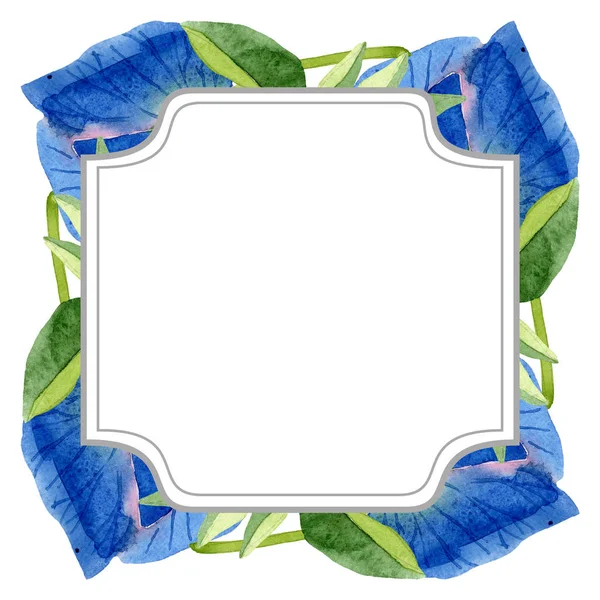 青い甘いエンドウ豆の花の植物の花。●水彩背景イラストセット。フレームボーダーオーナメント正方形. — ストック写真