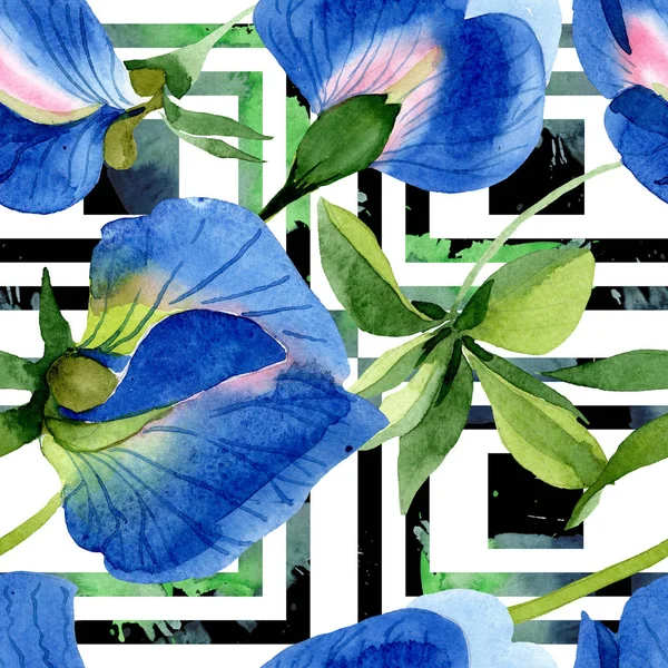 Fiori botanici floreali di pisello dolce blu. Acquerello sfondo illustrazione set. Modello di sfondo senza soluzione di continuità . — Foto Stock
