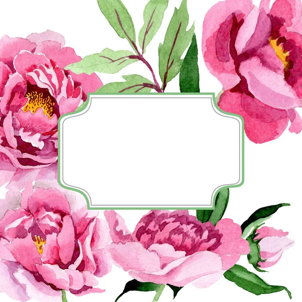 Pivoine rose fleurs botaniques florales. Ensemble d'illustration de fond aquarelle. Cadre bordure ornement carré . — Photo