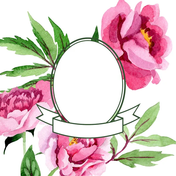 Rosa peônia flores botânicas florais. Conjunto de ilustração de fundo aquarela. Quadro borda ornamento quadrado . — Fotografia de Stock