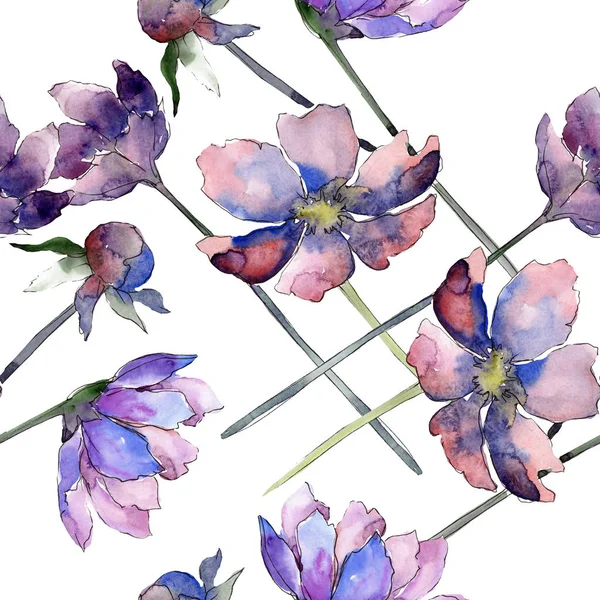 Flor de cosmos violeta flor botánica floral. Conjunto de ilustración de fondo acuarela. Patrón de fondo sin costuras . — Foto de Stock