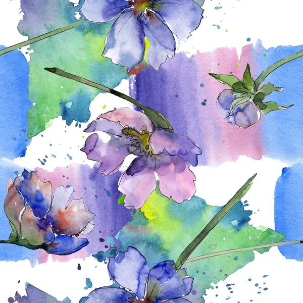 Violet cosmos flower floral botanical flower. Watercolor background illustration set. Seamless background pattern.