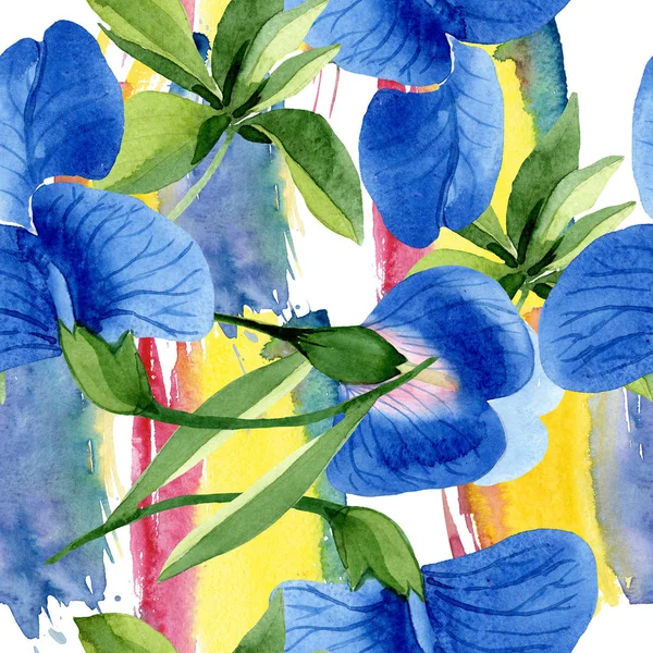 Blå Söt Ärt blommiga botaniska blommor. Akvarell bakgrund illustration uppsättning. Sömlöst bakgrundsmönster. — Stockfoto