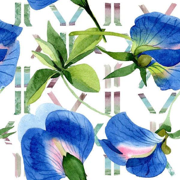 Flores botánicas florales de guisante dulce azul. Conjunto de ilustración de fondo acuarela. Patrón de fondo sin costuras . — Foto de Stock