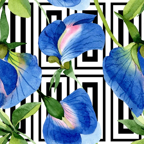 Blauwe Sweet Pea Floral botanische bloemen. Aquarel achtergrond illustratie instellen. Naadloos achtergrond patroon. — Stockfoto