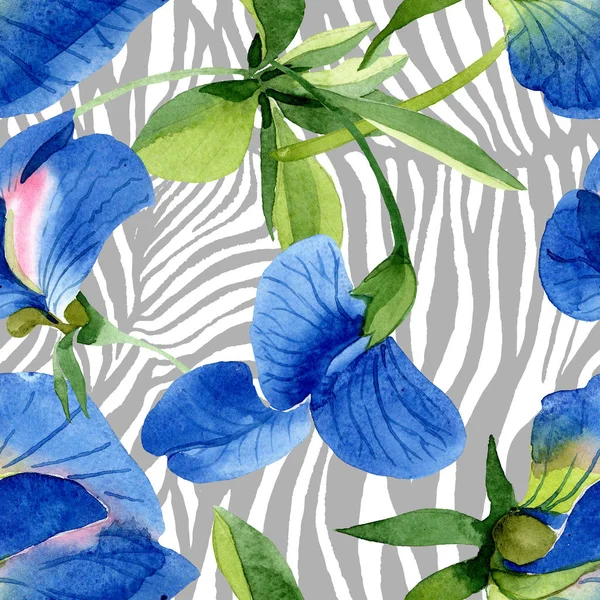 Pois doux bleu fleurs botaniques florales. Ensemble d'illustration de fond aquarelle. Modèle de fond sans couture . — Photo