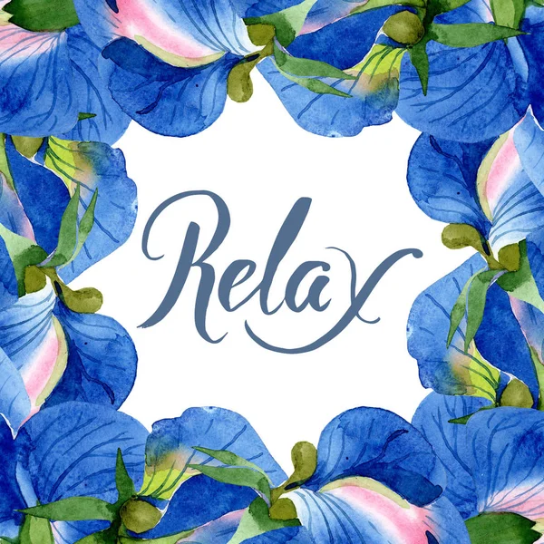Fiori botanici floreali di pisello dolce blu. Acquerello sfondo illustrazione set. Quadrato ornamento bordo cornice . — Foto Stock