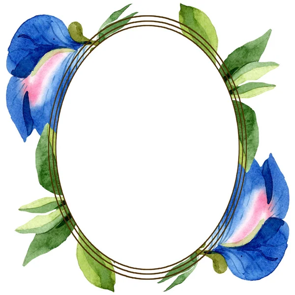 Ervilha doce azul flores botânicas florais. Conjunto de ilustração de fundo aquarela. Quadro borda ornamento quadrado . — Fotografia de Stock