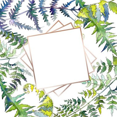 Eğrelti otu yeşil yaprakları. Suluboya arka plan illüstrasyon seti. Çerçeve kenarlık süs karesi.