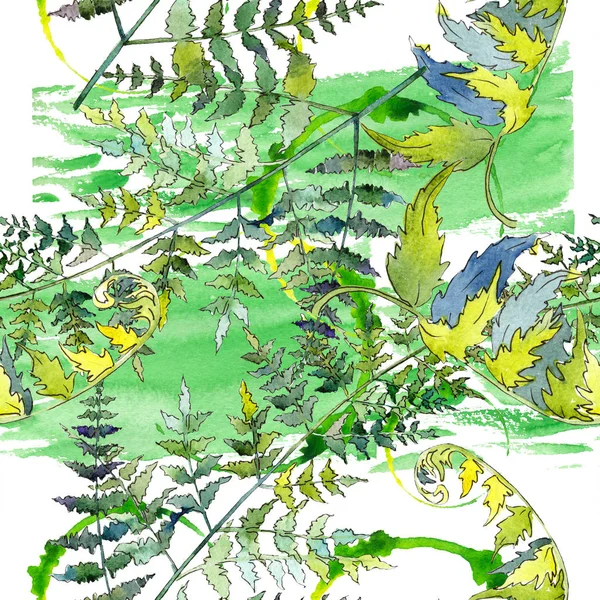 고사리 녹색 잎. 수채화 배경 일러스트 세트입니다. 원활한 배경 패턴. — 스톡 사진